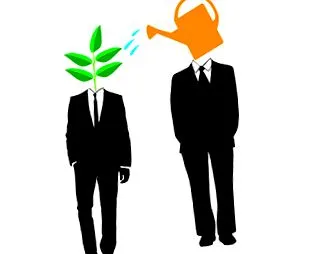 companiilor