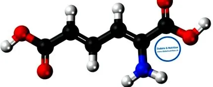 proteinelor