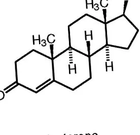 terrestris