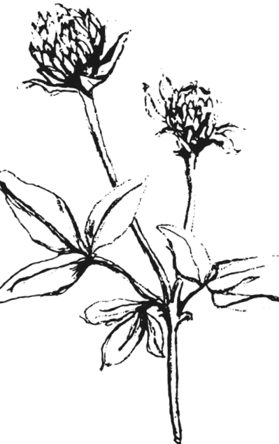 vörös
