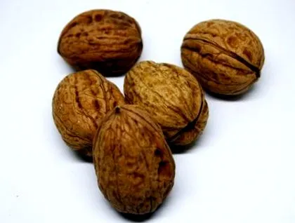 alimente
