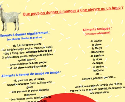 fonds