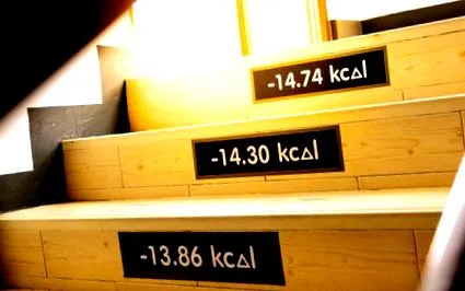 kalória államban