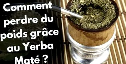 yerba