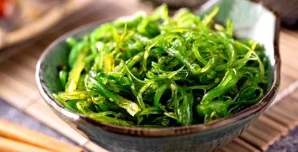 alga