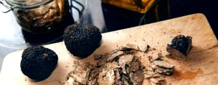 wellness negre