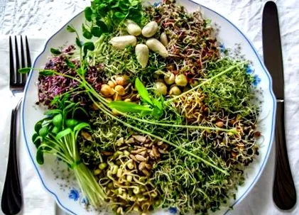 bombe nutritive