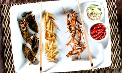 consumat