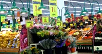 liniile pentru