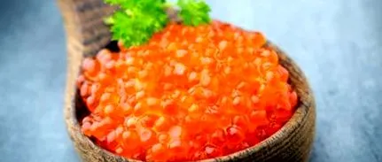 calorii calorii
