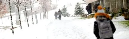 celebrează