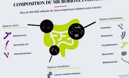mikrobiota