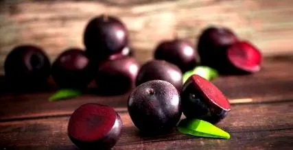 legume