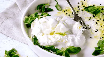 burrata