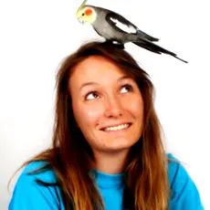 egzotikus