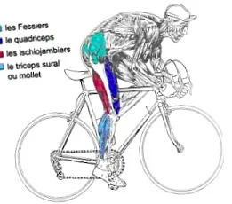 fitness bicicleta