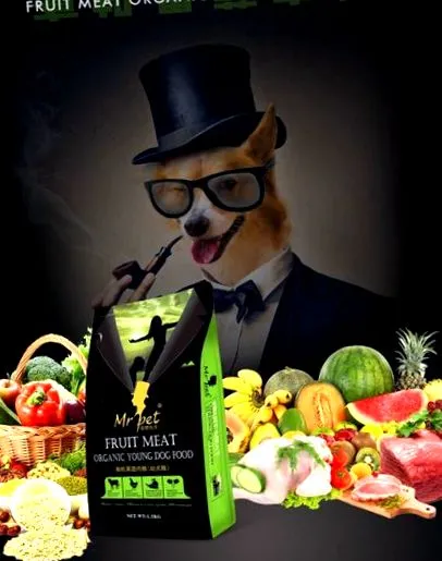 alimente pisici