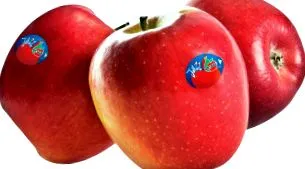 pomme franciaországban
