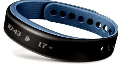 garmin