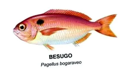 годна консумация