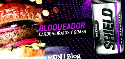 mdnlabs