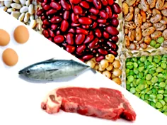 sursă proteina