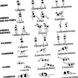 program