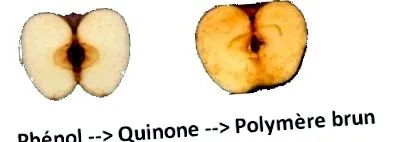 bucată