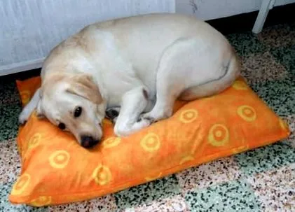 puțină