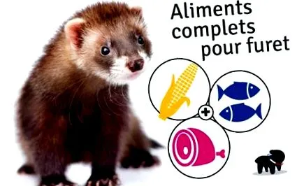 ételt