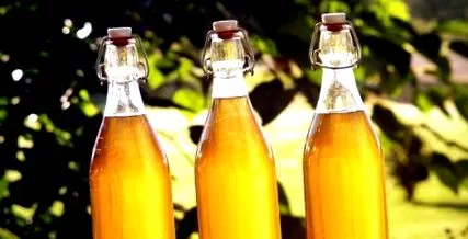 jó-e mead