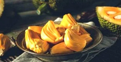 jackfruit