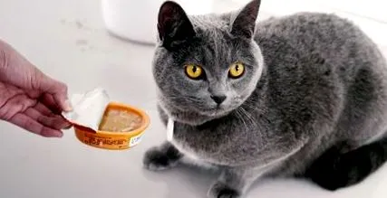 коробки