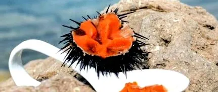 câte