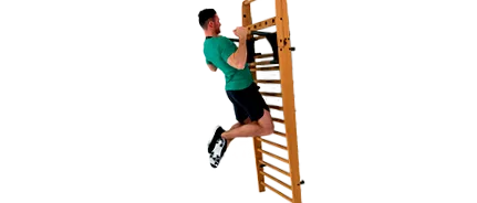 lehetővé teszi