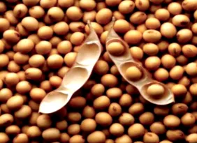 pericolele care