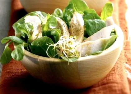 lucerna recept