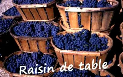 provence-ban