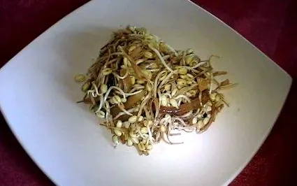 recept