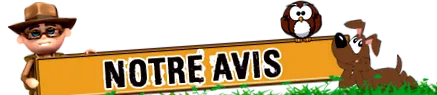 túlélési
