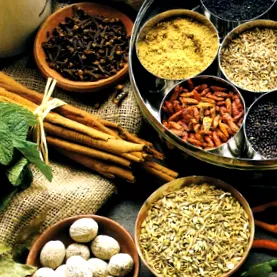 ayurveda-val