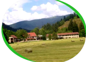 iskola