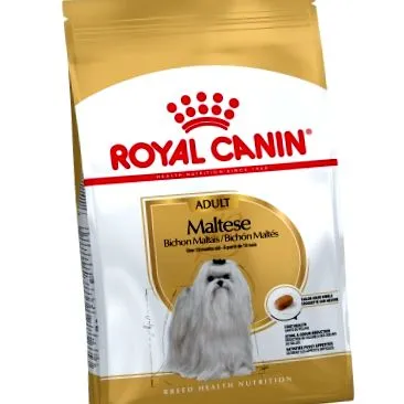 breed canin