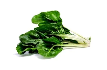 gazdag