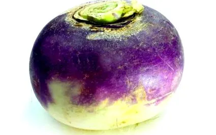rutabaga