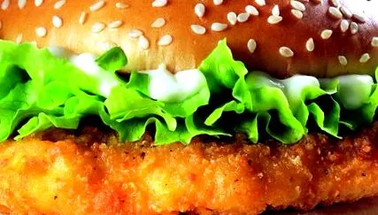 hamburger