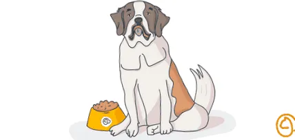 saint-bernard