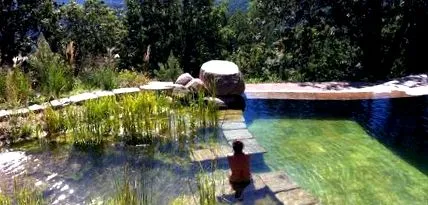 yoga regenerarea