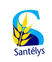 felnőtt
