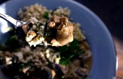 grătar stroganoff